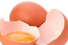 Apakah Telur Sebaiknya Disimpan di Kulkas?