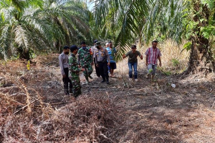 Petugas gabungan menyisir lokasi kemunculan harimau sumatera di Desa Tasik Tebing Serai, Kecamatan Talang Muandau, Kabupaten Bengkalis, Provinsi Riau, Sabtu (16/4/2022).