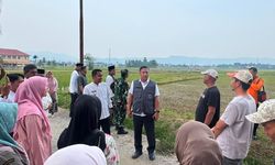 Tingkatkan Pengawasan, Satgas PRR Kejar Realisasi Tambahan TKD Daerah Terdampak Bencana Sumatera
