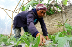 Keluar dari Dunia Hitam, Maman Dapatkan Ketenangan Hidup dengan Menjadi Petani