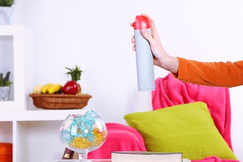 Cara Mudah dan Cepat Lenyapkan Bau Tak Sedap di Rumah