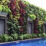 10 Contoh Taman Vertikal Bikin Rumah Lebih Segar