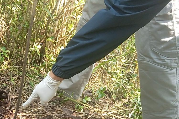 Penemuan Kerangka Manusia di Sukabumi Mulai Terkuak, Diduga Wanita yang Hilang Sebulan Lalu