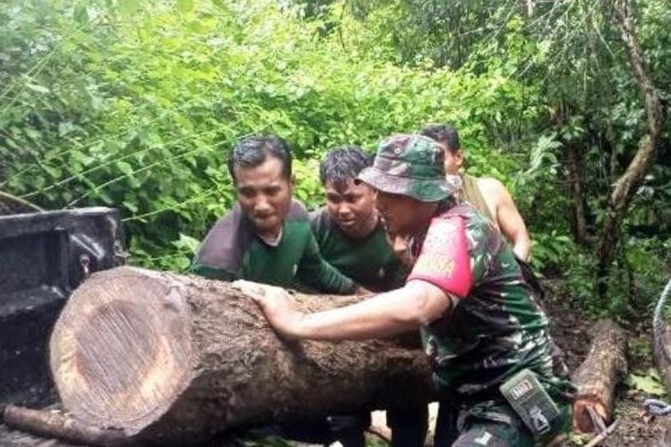 Tim gabungan menemukan kayu diduga hasil illegal logging di Hutan Boak, Sumbawa