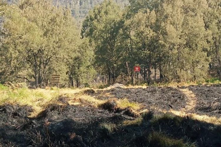 Karhutla Gunung Arjuno Sisakan Asap, Petugas Gabungan Tetap Siaga lewat Jalur Darat