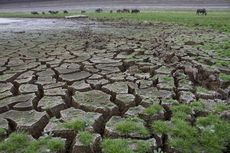 Mimpi Buruk Pemanasan Global (3): Bukan Cuma Jawa, Seluruh Dunia akan Krisis Air