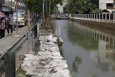 Beberapa Sungai di Jakarta Jernih, Kualitas Air Jadi Persoalan Lain