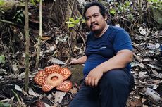 22 Universitas dengan Jurusan S1 Arsitektur Terbaik di Indonesia 2025