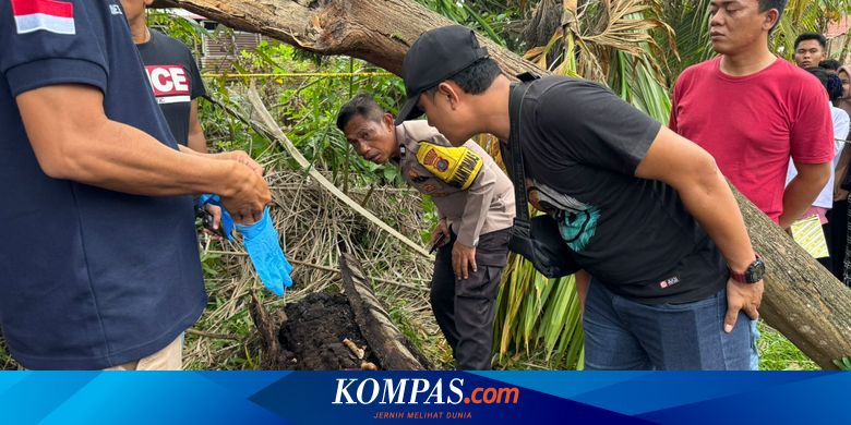 Kerangka Manusia Ditemukan di Pohon Aren, Keluarga Yakini Milik Yudha