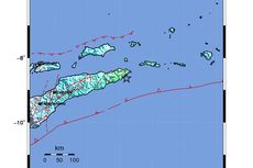 Wilayah yang Merasakan Gempa Maluku dan Alasan Pencabutan Peringatan Dini Tsunami
