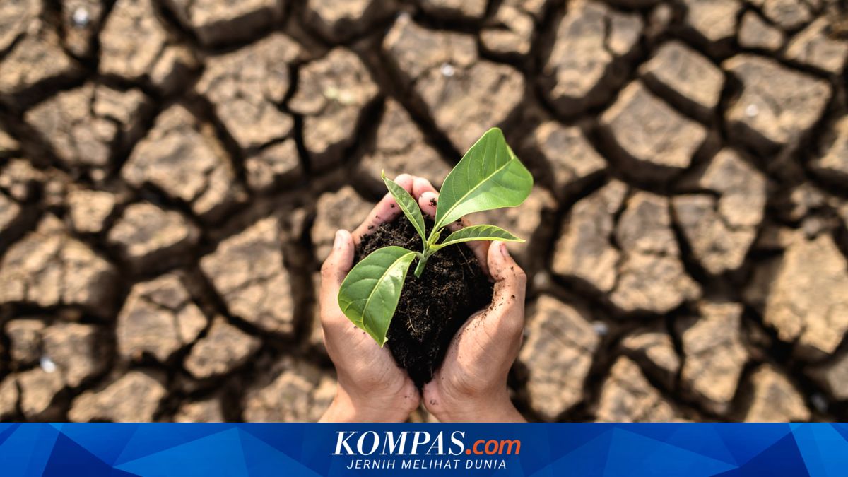Wilayah Rawan Kekeringan dan Karhutla di Temanggung, Mana Saja?