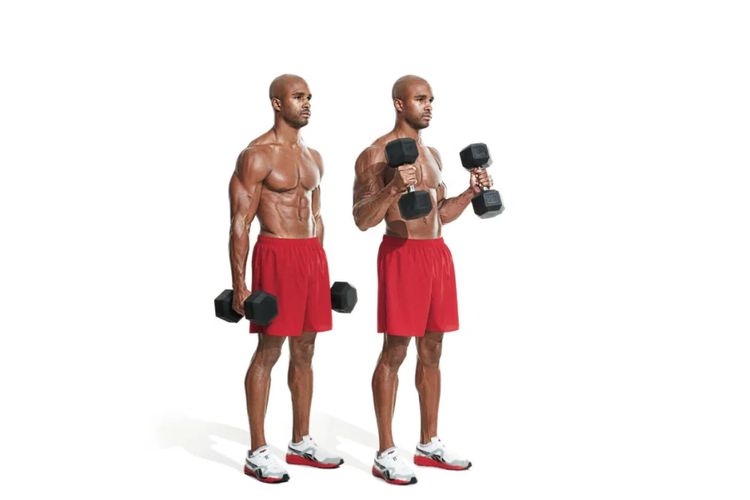 Dumbbell Hammer Curl