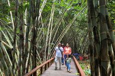 Desa Penglipuran Bali Buka Hutan Bambu, Antisipasi Lonjakan Turis Saat Libur Nataru 2024