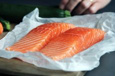 Peneliti Ungkap Fakta Menarik dari Salmon Kaleng Berusia 40 Tahun