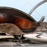 8 Tips Mengendalikan Tikus, Kecoak, Lalat dan Semut di Dapur