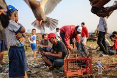 Jakarta Masih Butuh Banyak Ruang Terbuka Hijau