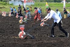 Jokowi Minta Mentan dan Gubernur Papua Barat Tingkatkan Kapasitas Produksi Pertanian