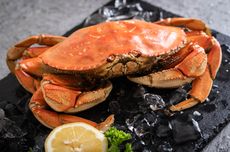 Apa Itu Dungeness Crab, Bahan Masakan di Pressure Test MasterChef?