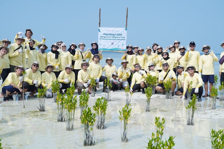 Mangrove dan Lamun Dinilai Penting bagi Ekonomi Pesisir