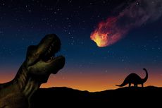 Kenapa Mamalia Sebesar Dinosaurus Tak Ada Lagi Saat Ini?