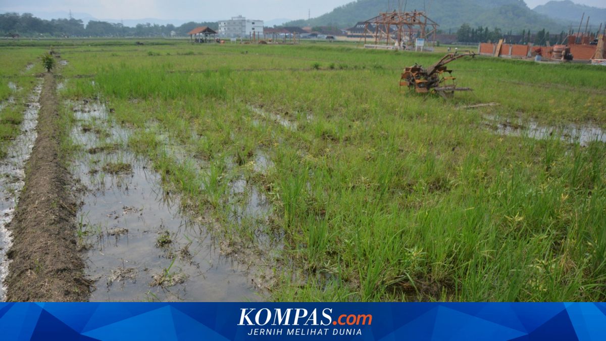 Baru 45 RDTR yang Sudah Jadi Raperda
