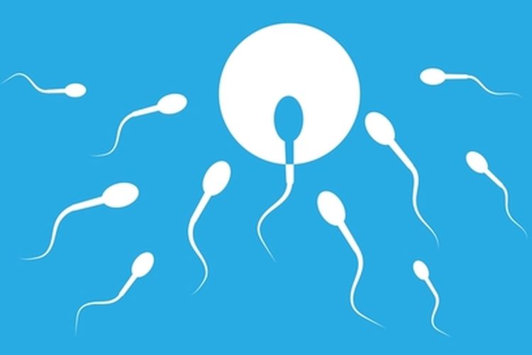 Ilustrasi sperma kental, sperma kental apakah sehat, ciri-ciri sperma sehat, sperma kental sehat atau tidak, cara agar sperma kental. 