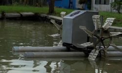 Kembangkan Budidaya Udang, KKP Ciptakan Inovasi Kincir Air Tambak Hemat Energi