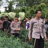 Tanam Ganja di Kebun Cabai, Oknum Guru SD Mengaku Buat Usir Hama