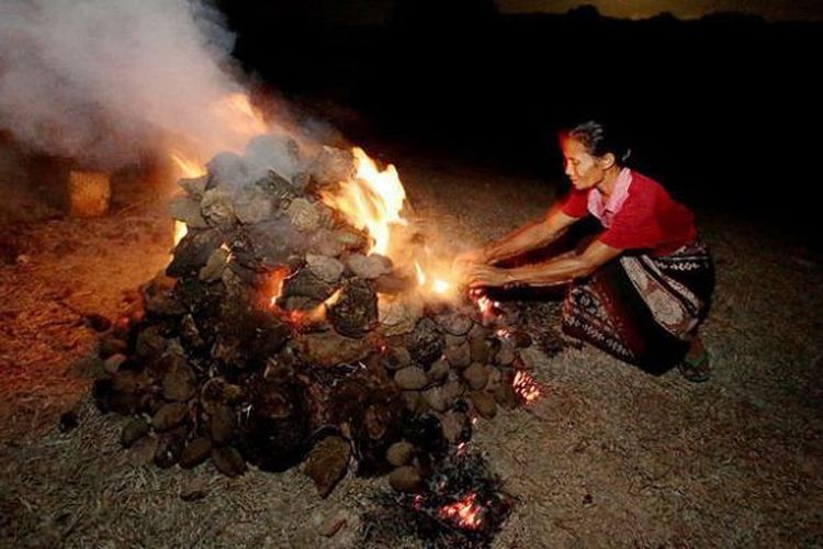 Nahere(42) melakukan ritual bakar batu laut (batu kapur) di desa Namata, Sabu Barat, Sabu Raijua, NTT, Selasa (9/9/2014). Pengunaan sarung tenun menjadi busana yang wajib digunakan dalam kegiatan-kegiatan ritual.