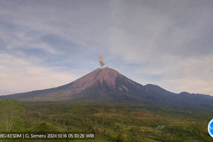 Erupsi Gunung Semeru, Rabu (16/10/2024) pagi.