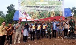 Gandeng UGM dan IPB, Kementan Ciptakan Varietas Unggul untuk Genjot Produksi Pertanian