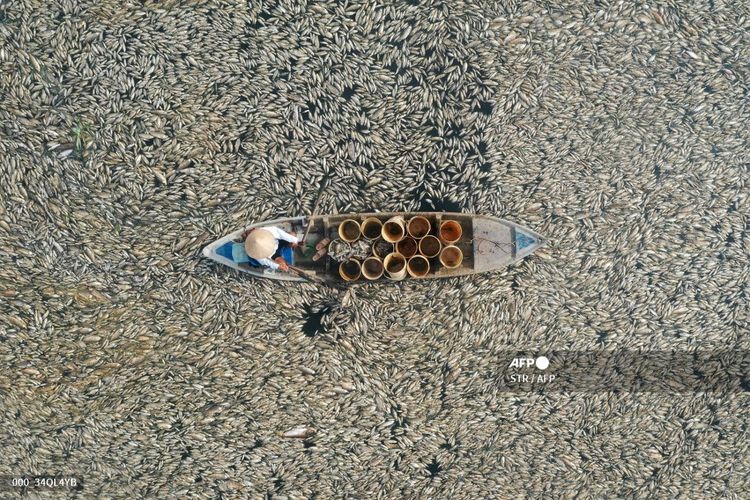 Foto udara menunjukkan seorang nelayan mengumpulkan ikan mati di Waduk Song May, Provinsi Dong Nai, Vietnam pada 30 April 2024, ketika cuaca panas melanda negara tersebut selama beberapa hari terakhir.