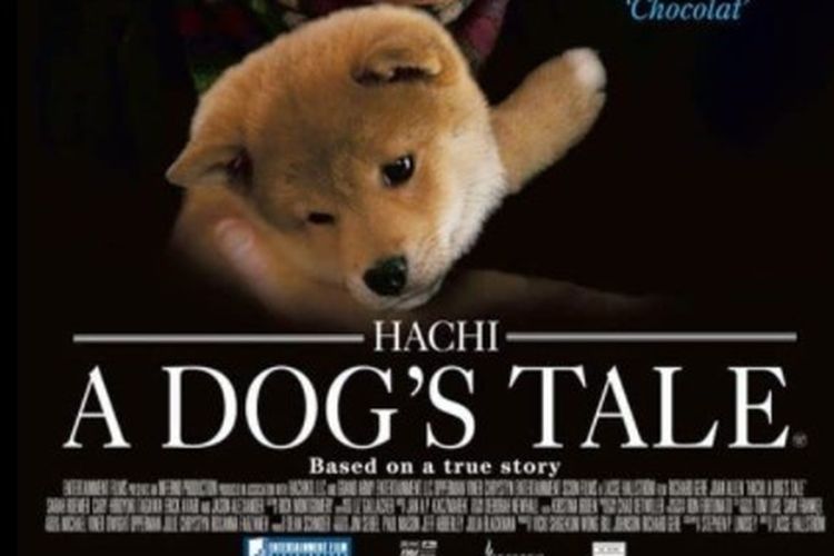 Beberapa rekomendasi film persahabatan anjing dan manusia yang akan membuat Anda berurai air mata.