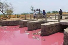 Warna Air Sungai Kalikamal di Brebes Berubah Jadi Merah Muda
