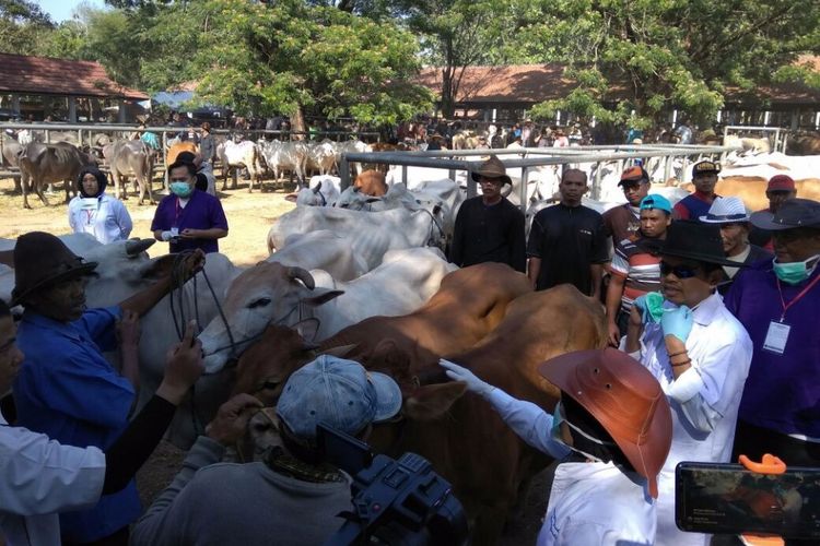 Bupati Purwakarta Dedi Mulyadi saat sidak pedagang hewan kurban, Senin (28/8/2017).