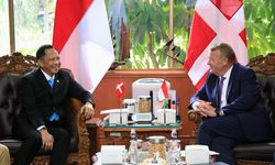 Perkuat Layanan Pemadam Kebakaran, Kemendagri Bakal Jalin Kerja Sama dengan Denmark 