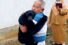 Berpisah, Dasbernawi Peluk Erat Siamang yang Dirawatnya Selama 6 Tahun: Umang Jadi Bagian Keluarga Saya