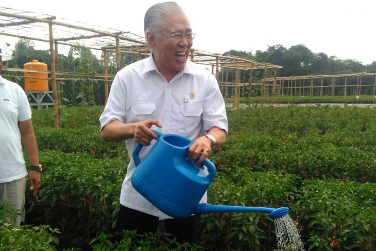 Menteri Perdagangan, Enggartiasto Lukita, bersama Ketua Dewan Pembina APTRI, Arum Sabil, saat Menyiram Bibit Cabai di Kompleks City Forest and Farm Kabupaten Jember, Jawa Timur, Kamis (16/3/2017).