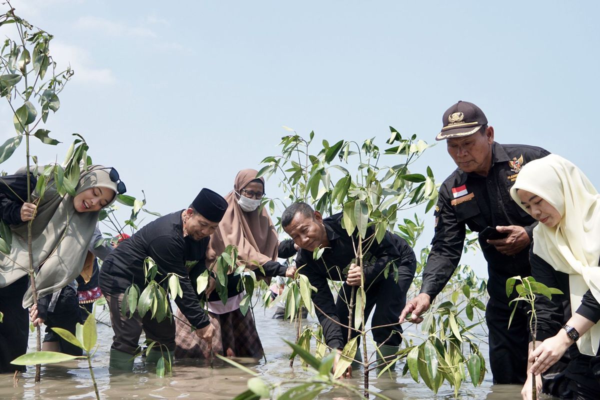 Dompet Dhuafa melalui Department Budaya & Lingkungan menghelat aksi Tanam 1.000 Mangrove di wilayah pesisir pantai Desa Cigondang dan Margasana, Labuan, Pandeglang, pada Minggu (17/09/2023). 
