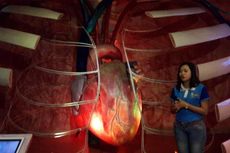 Museum Tubuh, Sensasi Berjalan Dalam Organ Tubuh Manusia
