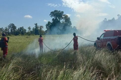 16,5 Hektar Padang Savana di Taman Nasional Rawa Aopa Watumohai Terbakar, Diduga akibat Puntung Rokok