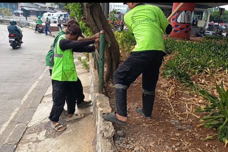 Komplotan Pencuri Pagar Besi Kolong Flyover Kampung Melayu Beraksi Lebih dari 5 Kali
