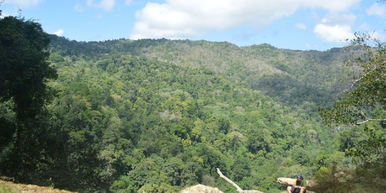 Kawasan Taman Nasional MataLawa di Pulau Sumba, NTT.