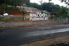 Proyek Mini Zoo Purworejo Selesai, Kontraktor Kena Denda Rp 144 Juta karena Molor