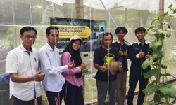 PKM AKB Bantu Kelompok Tani Melon Kediri lewat Teknologi Pemberian Pupuk dan Monitoring Lingkungan