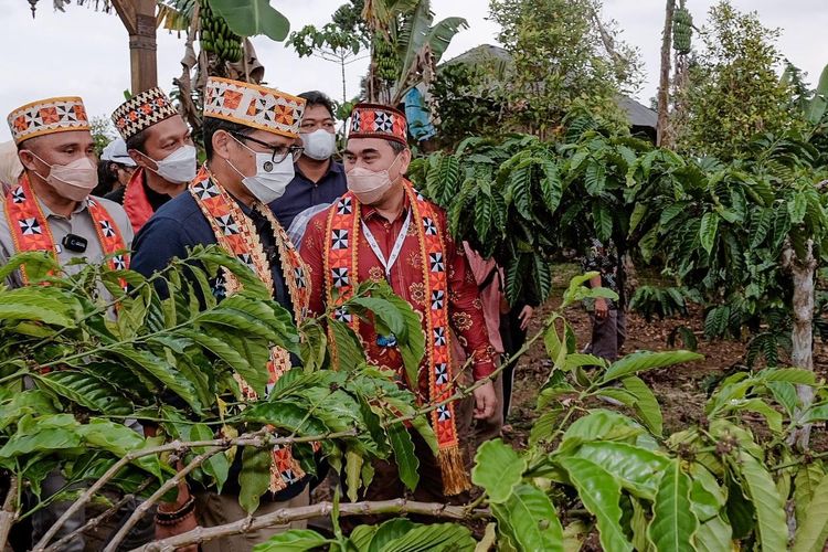 Desa Wisata Rigis Jaya di Kabupaten Lampung Barat, Lampung.