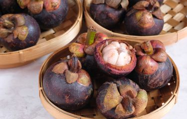 Manfaat Buah Manggis untuk Mengontrol Gula Darah, Cocok bagi ...
