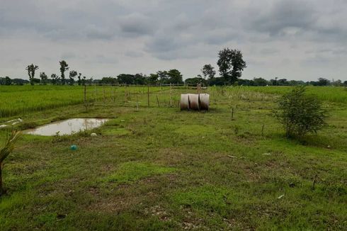 Seperti di Depok, Ada Wacana Membangun Pasar Muamalah di Madiun, Luasnya 1.400 M2