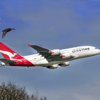 Ilustrasi pesawat milik maskapai penerbangan Australia Qantas. 