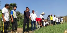 Pakai Metode Bamele, Petani Bawang di Nganjuk Bisa Untung Besar